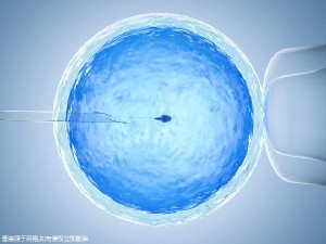 同性供卵代怀服务怎么收费